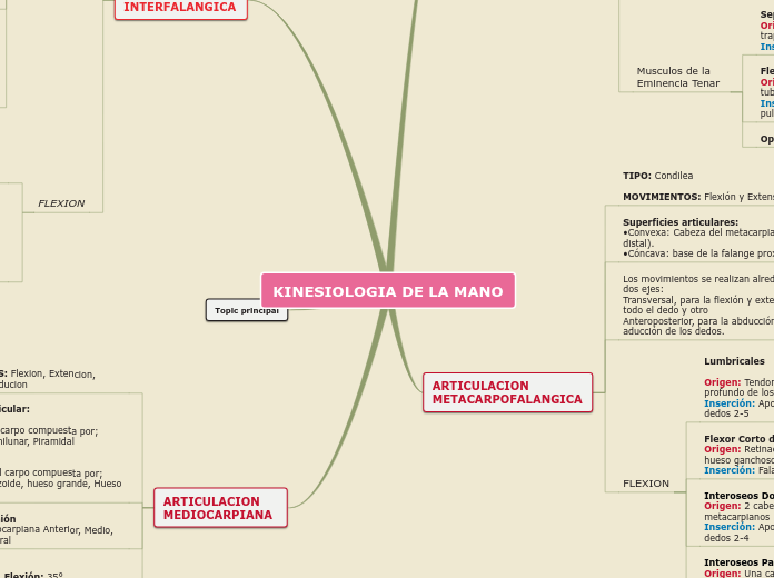 KINESIOLOGIA DE LA MANO - Mapa Mental