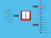 Microsoft Word - Mind Map