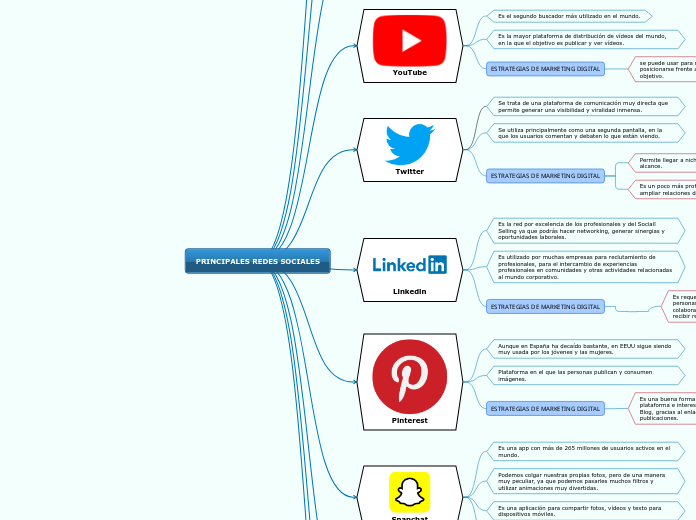 PRINCIPALES REDES SOCIALES