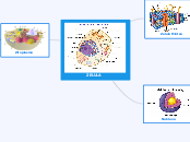 ZELULA - Mind Map