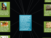 funciones historicas - Mapa Mental