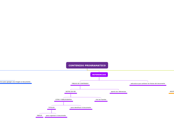 CONTENIDO PROGRAMATICO - Mapa Mental