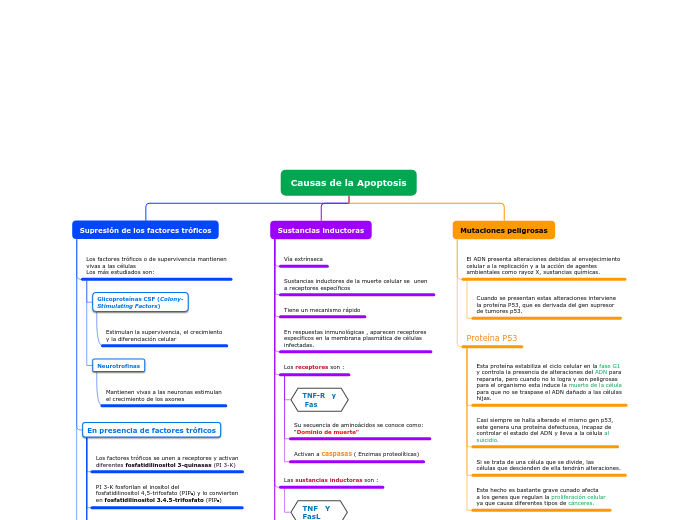 Causas de la Apoptosis