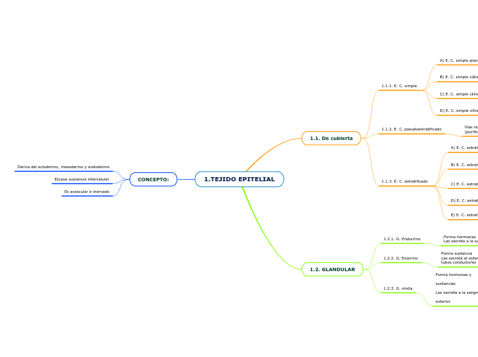 1.TEJIDO EPITELIAL