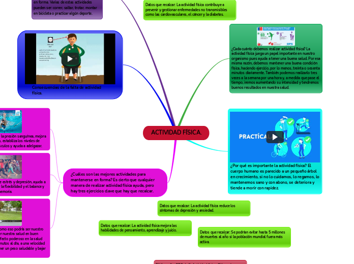 ACTIVIDAD FÍSICA.