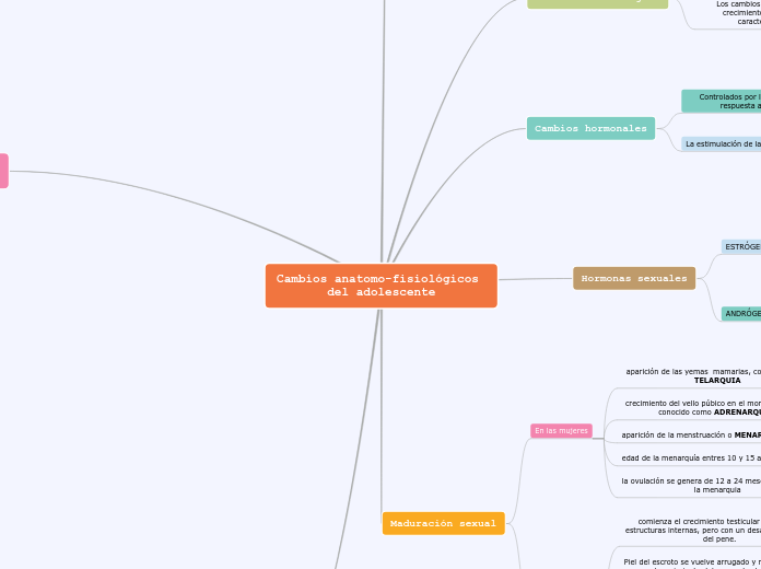 Cambios anatomo-fisiológicos del adolescente