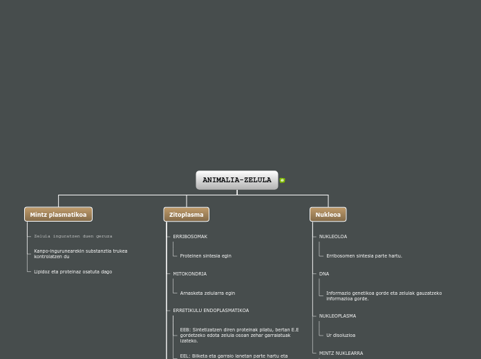 ANIMALIA-ZELULA - Mind Map