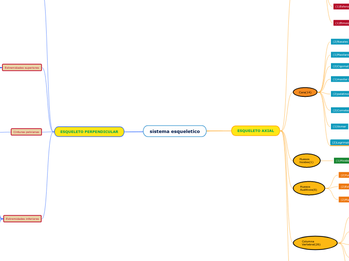 sistema esqueletico - Mapa Mental