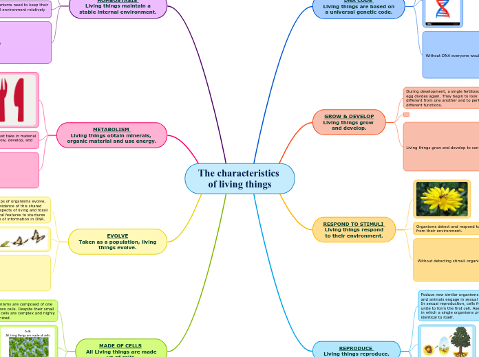 The characteristics 
of living things - Mind Map