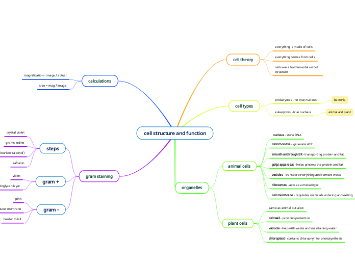 cell structure and function