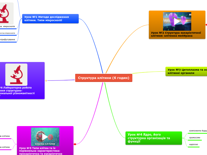 Структура клітини (6 годин)