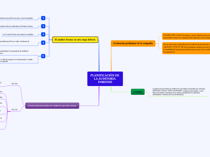 PLANIFICACIÓN DE LA AUDITORÍA FORENSE