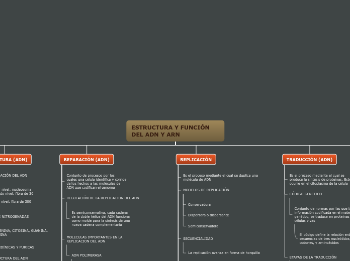 Organigrama arbol