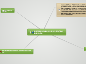 PROFESIONAL  INTEGRAL: - Mapa Mental