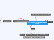 Writing in the classroom - Mind Map