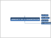 AMBIENTE DE LA ORGANIZACION