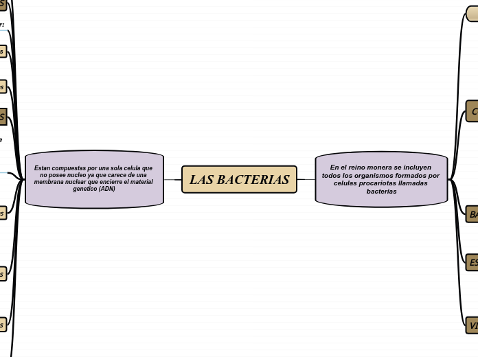 LAS BACTERIAS - Mapa Mental