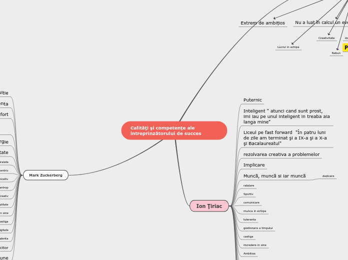 Calităţi şi competenţe ale întreprinz...- Hartă mentală