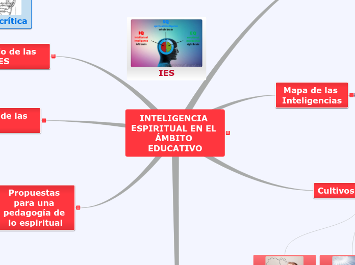 INTELIGENCIA ESPIRITUAL EN EL ÁMBITO EDUCATIVO