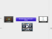 metabolismo circular y lineal 