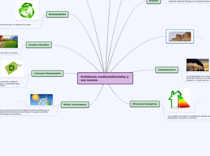 Problemas medioambientales y sus causas...- Mapa Mental