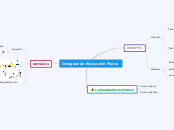 Integración Educación Física