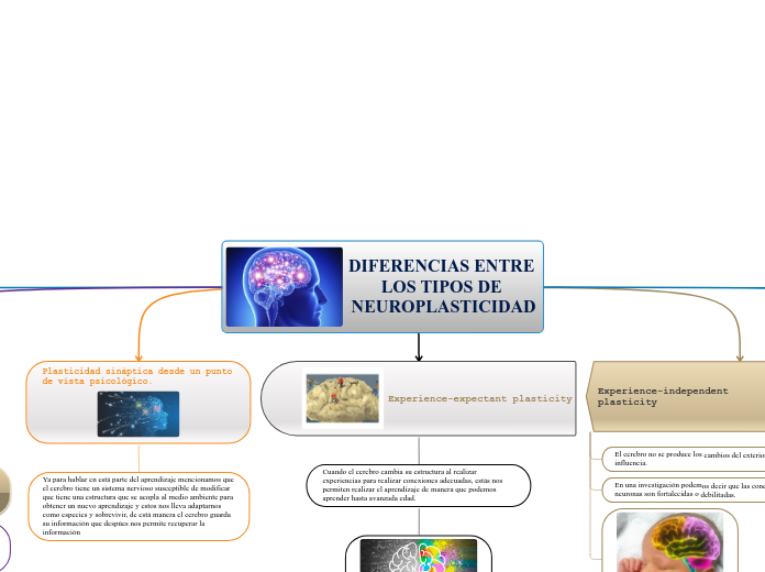 DIFERENCIAS ENTRE LOS TIPOS DE NEUROPLA...- Mapa Mental