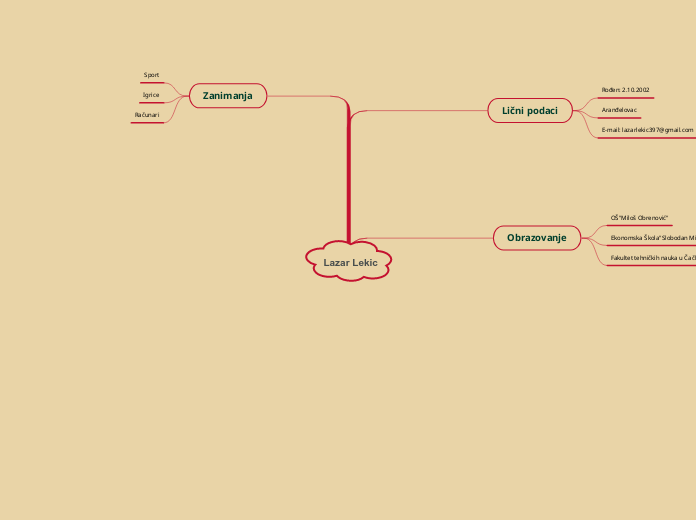 Lazar Lekic - Mind Map