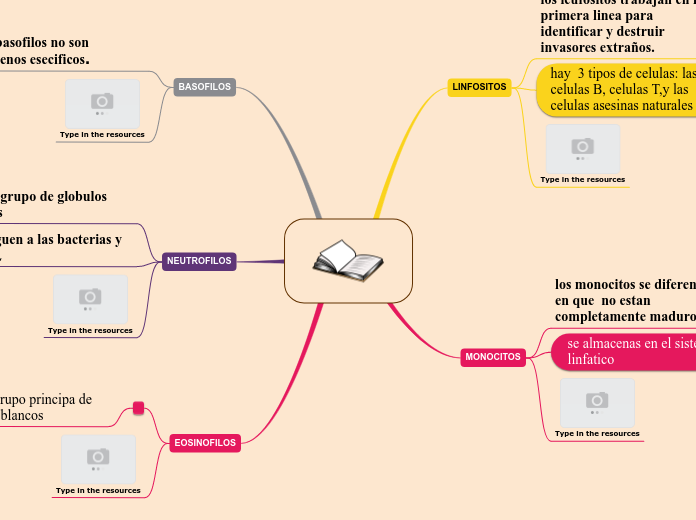 los 5 principales leucocitos