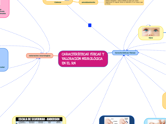 CARACTERÍSTICAS FÍSICAS Y VALORACIÓN NEUROLÓGICA EN EL RN