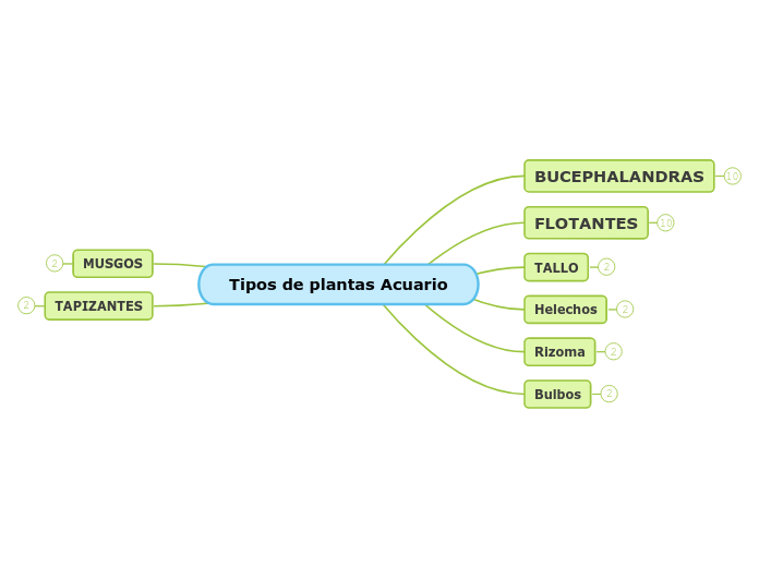 Tipos de plantas Acuario