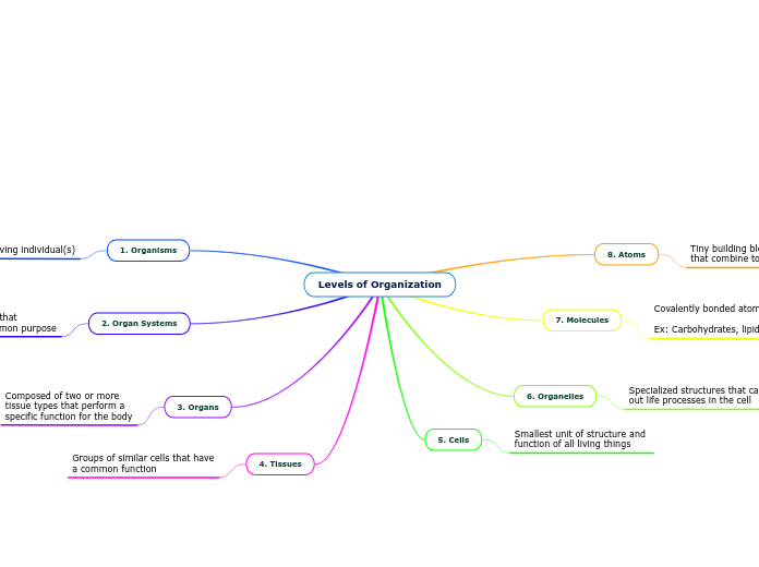 Levels of Organization