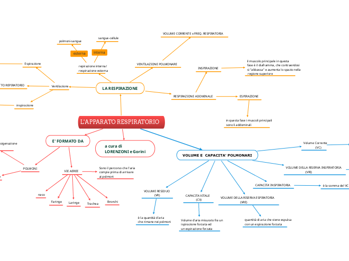 L'APPARATO RESPIRATORIO