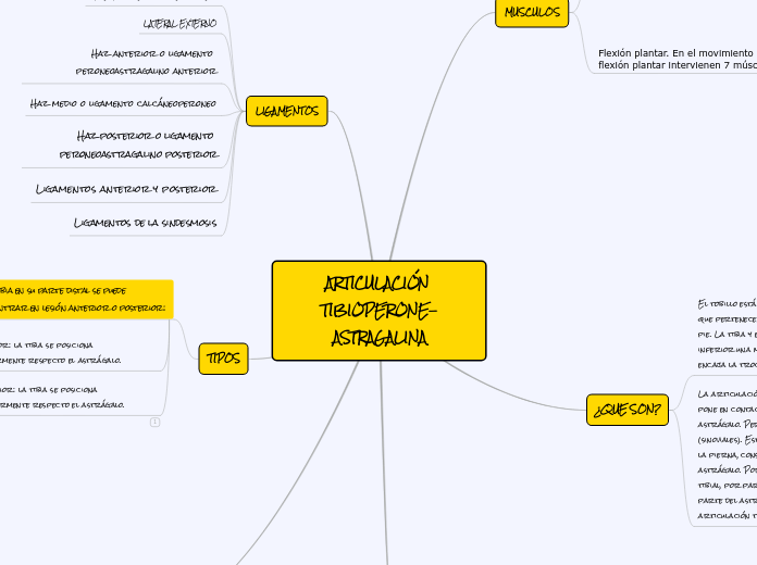 articulacion tibioperoneoastragalina