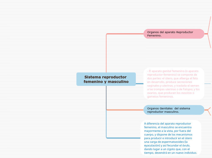 Sistema reproductor femenino y masculino
