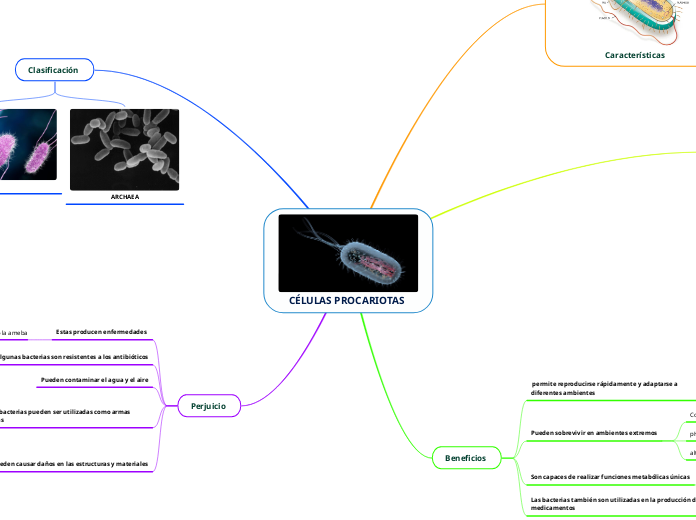 CÉLULAS PROCARIOTAS 