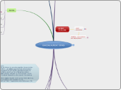 BACCALAUREAT STMG - Carte Mentale