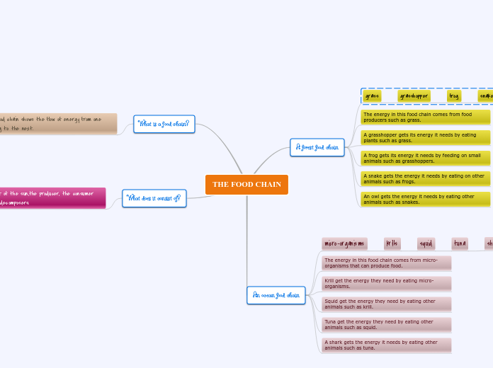 Create a food chain and food web of any habitat