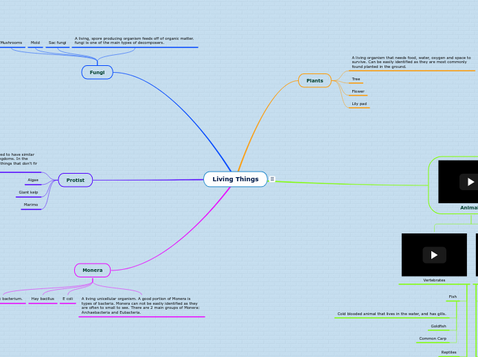 Living Things - Mind Map