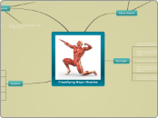 Classifying Major muscles based on functions