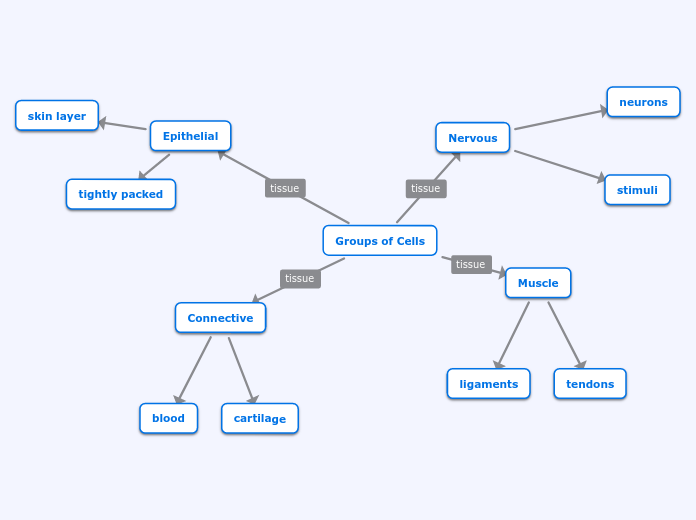 Groups of Cells