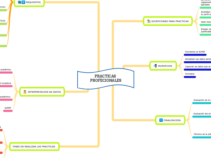 PRACTICAS PROFECIONALES - Mapa Mental