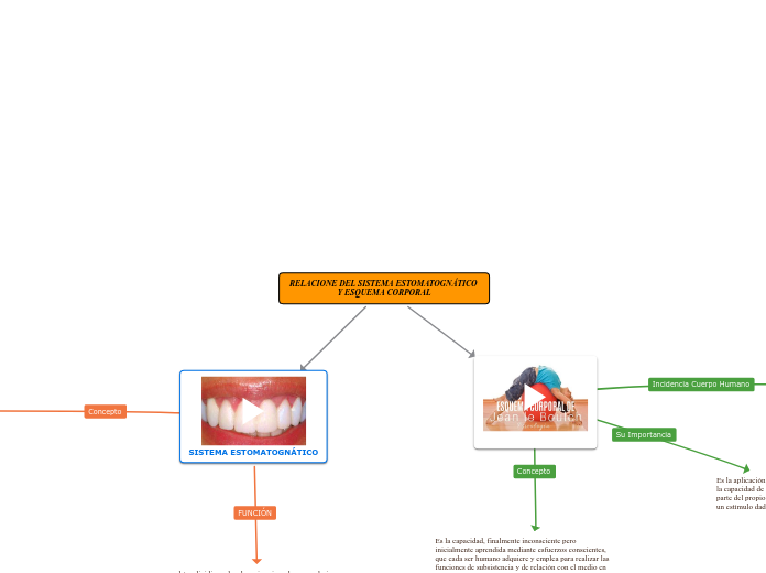 RELACIONE DEL SISTEMA ESTOMATOGNÁTICO Y...- Mapa Mental