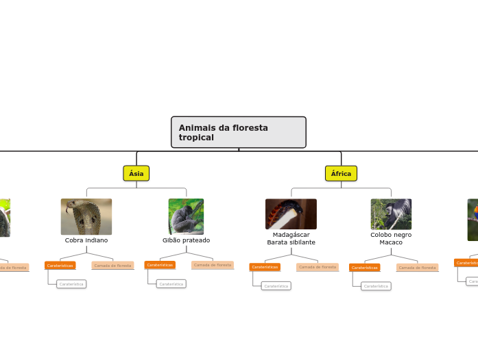 Animais da floresta tropical