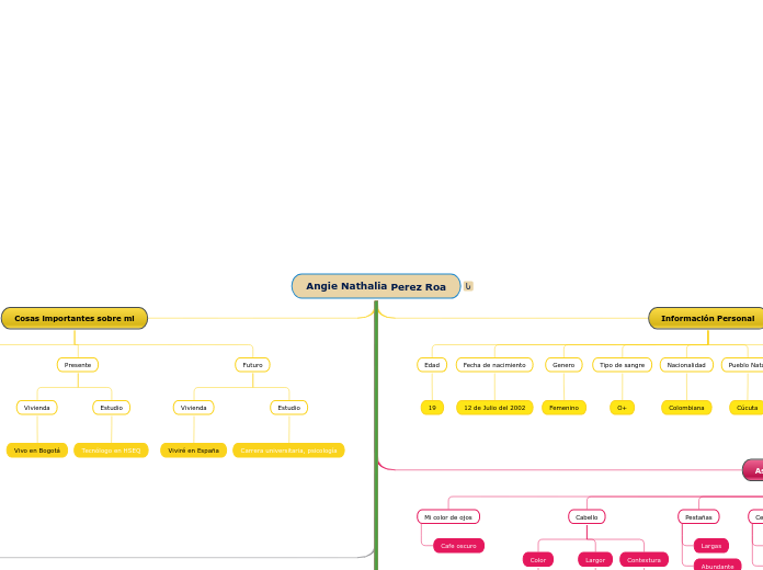 Angie Nathalia Perez Roa - Mapa Mental