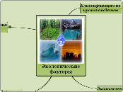 экологические факторы