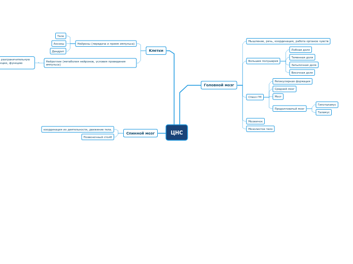 ЦНС - Мыслительная карта