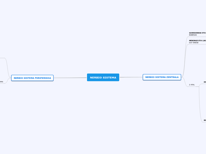 NERBIO SISTEMA