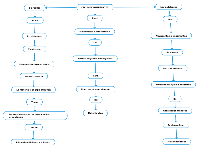 CICLO DE NUTRIENTES