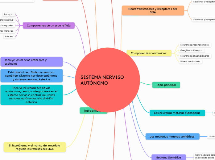 SISTEMA NERVISO AUTÓNOMO